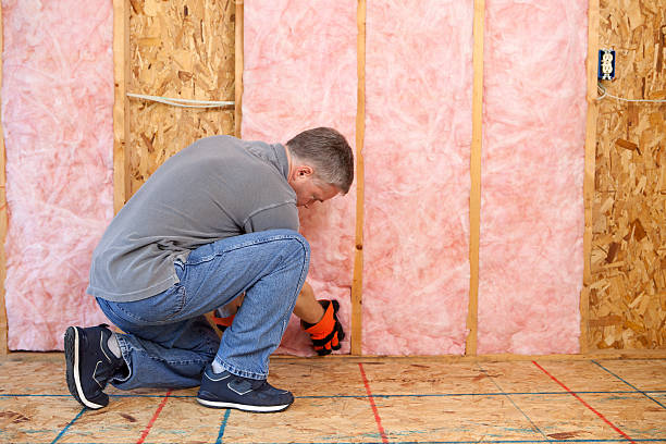 Best Insulation Maintenance and Repair in Carol Stream, IL