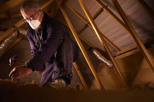 Best Residential Insulation in Carol Stream, IL